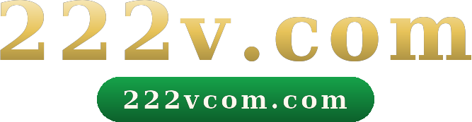 222v.com logo